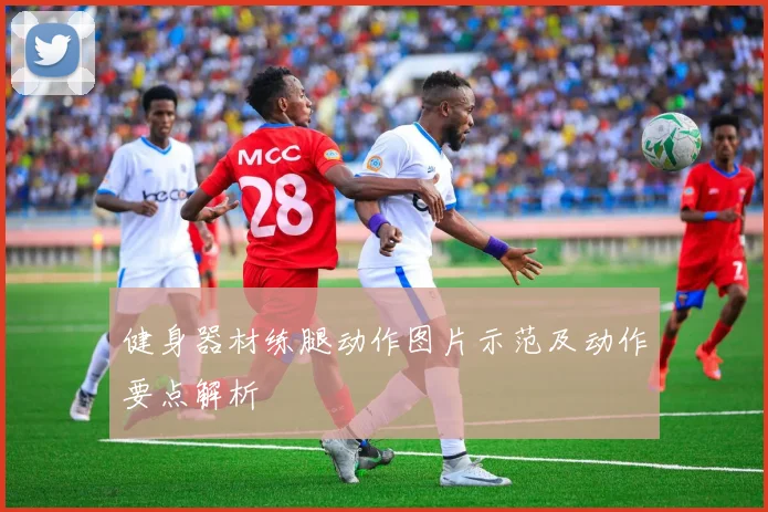 健身器材练腿动作图片示范及动作要点解析