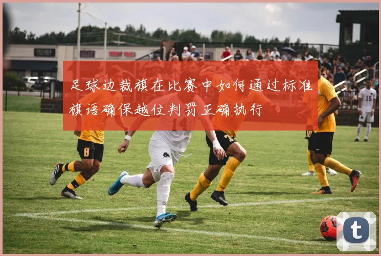 足球边裁旗在比赛中如何通过标准旗语确保越位判罚正确执行