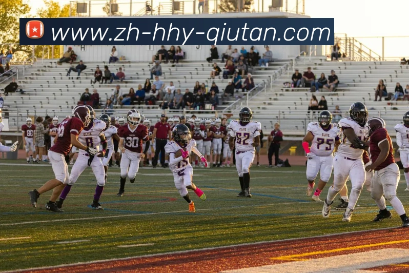 球探体育平台生态图